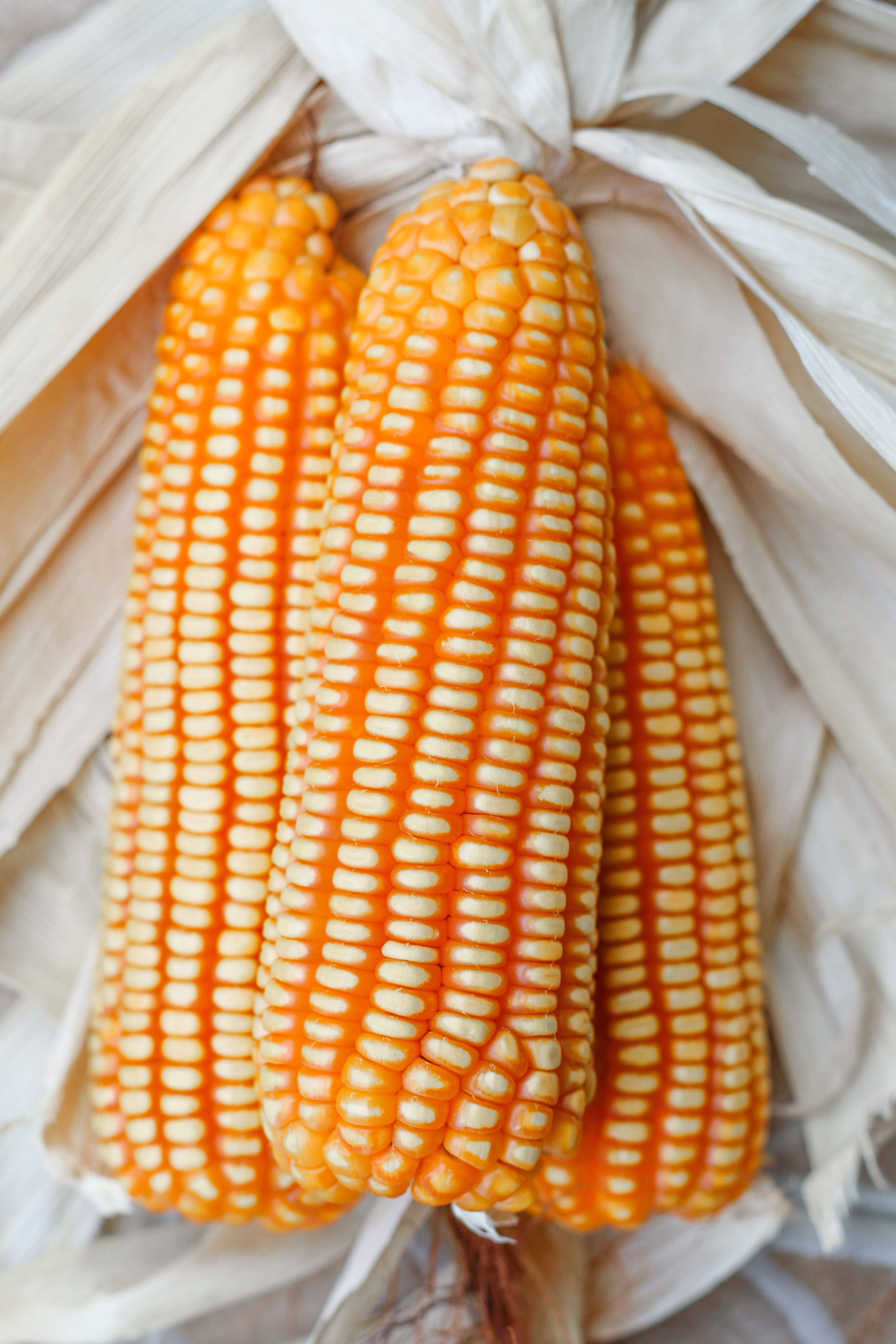 Plantadeira Manual