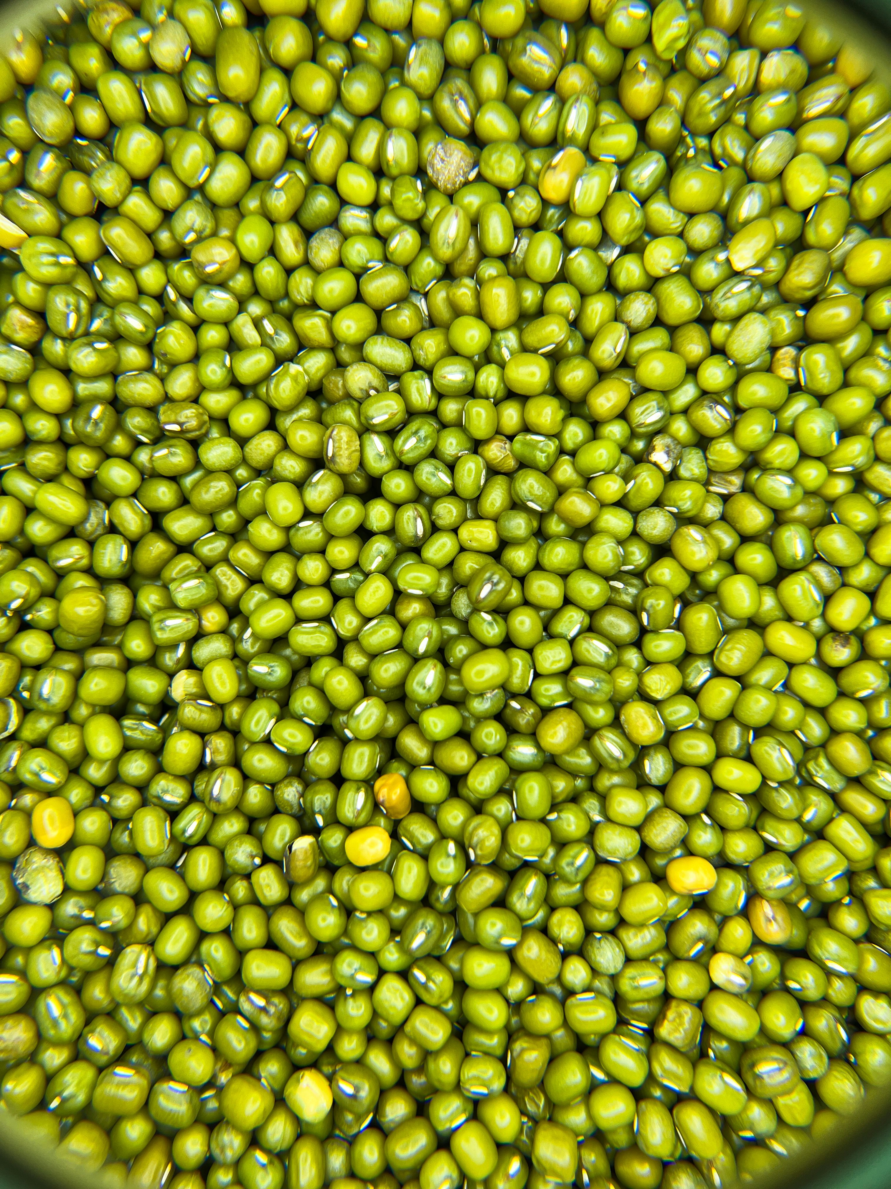 A detailed close-up of fresh green mung beans, showcasing their texture and vivid color.