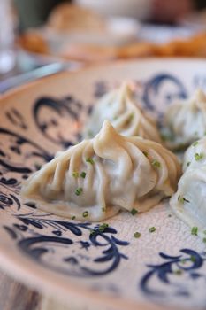 Delicious Asian dumplings garnished with chives on an artistic plate, perfect for culinary projects.