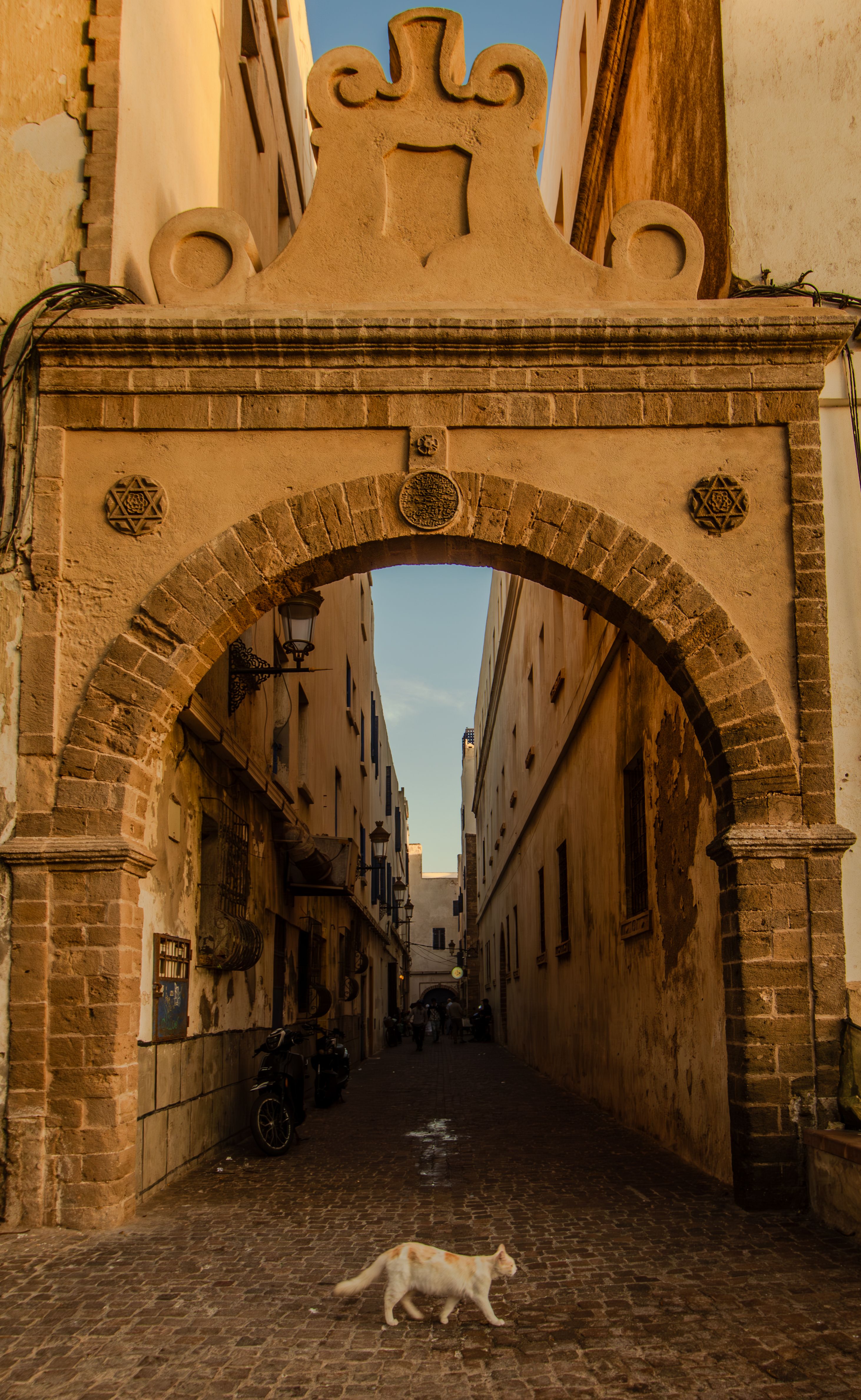 A serene street scene featuring a historic archway in Essaouira, Morocco with a white cat passing by.
