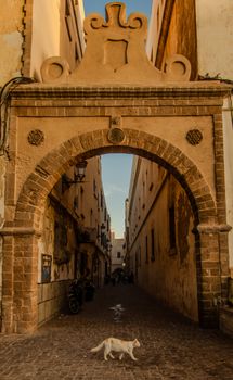 A serene street scene featuring a historic archway in Essaouira, Morocco with a white cat passing by.