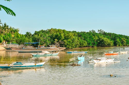 Free stock photo of beach, boats, green