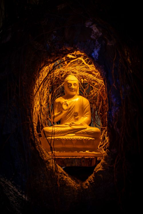 Free Golden Buddha statue beautifully illuminated within a dark cave in Colombo, Sri Lanka. Stock Photo