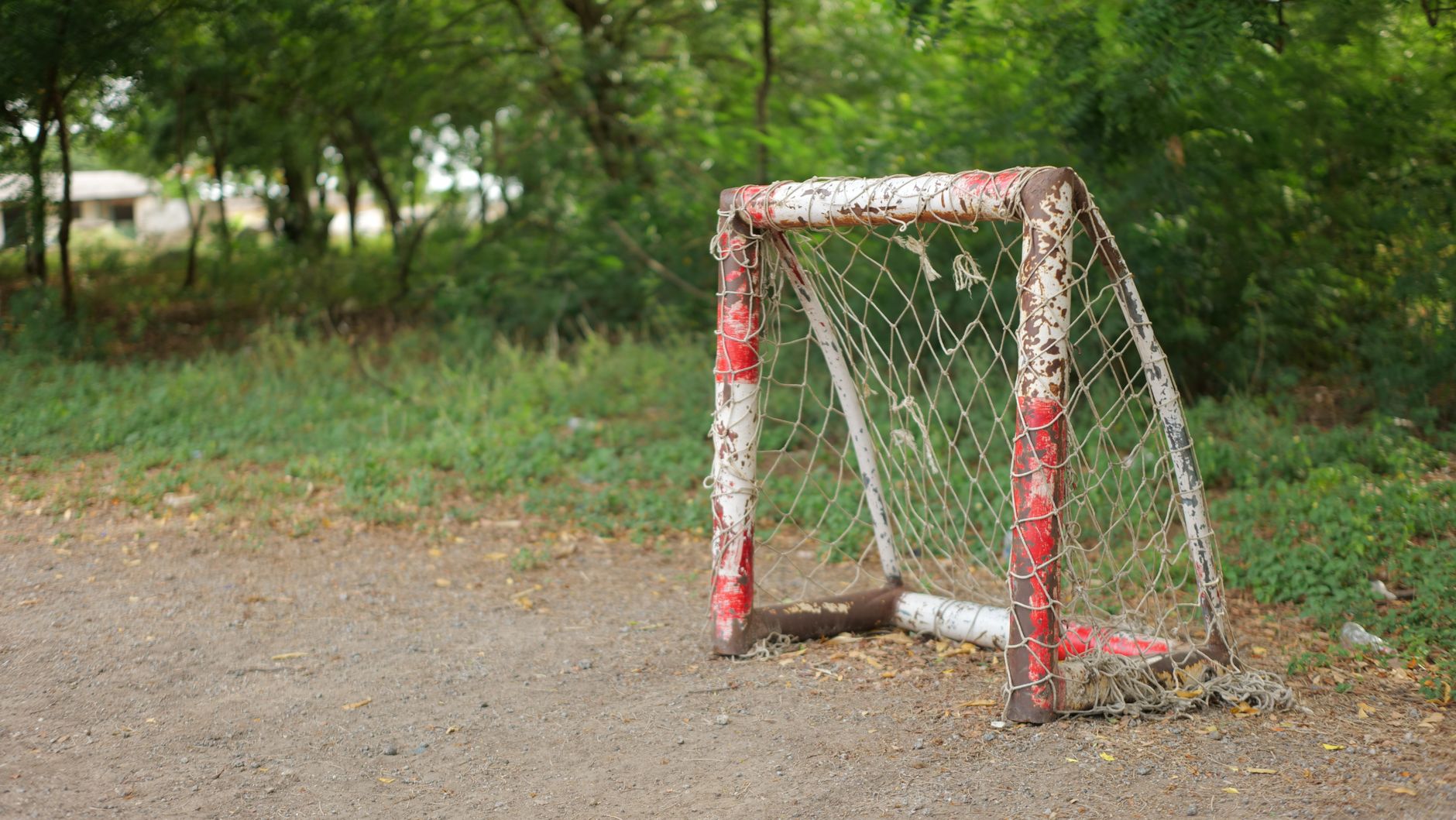 A rustic red goal post stands in a forested area, showcasing natural beauty and simplicity.