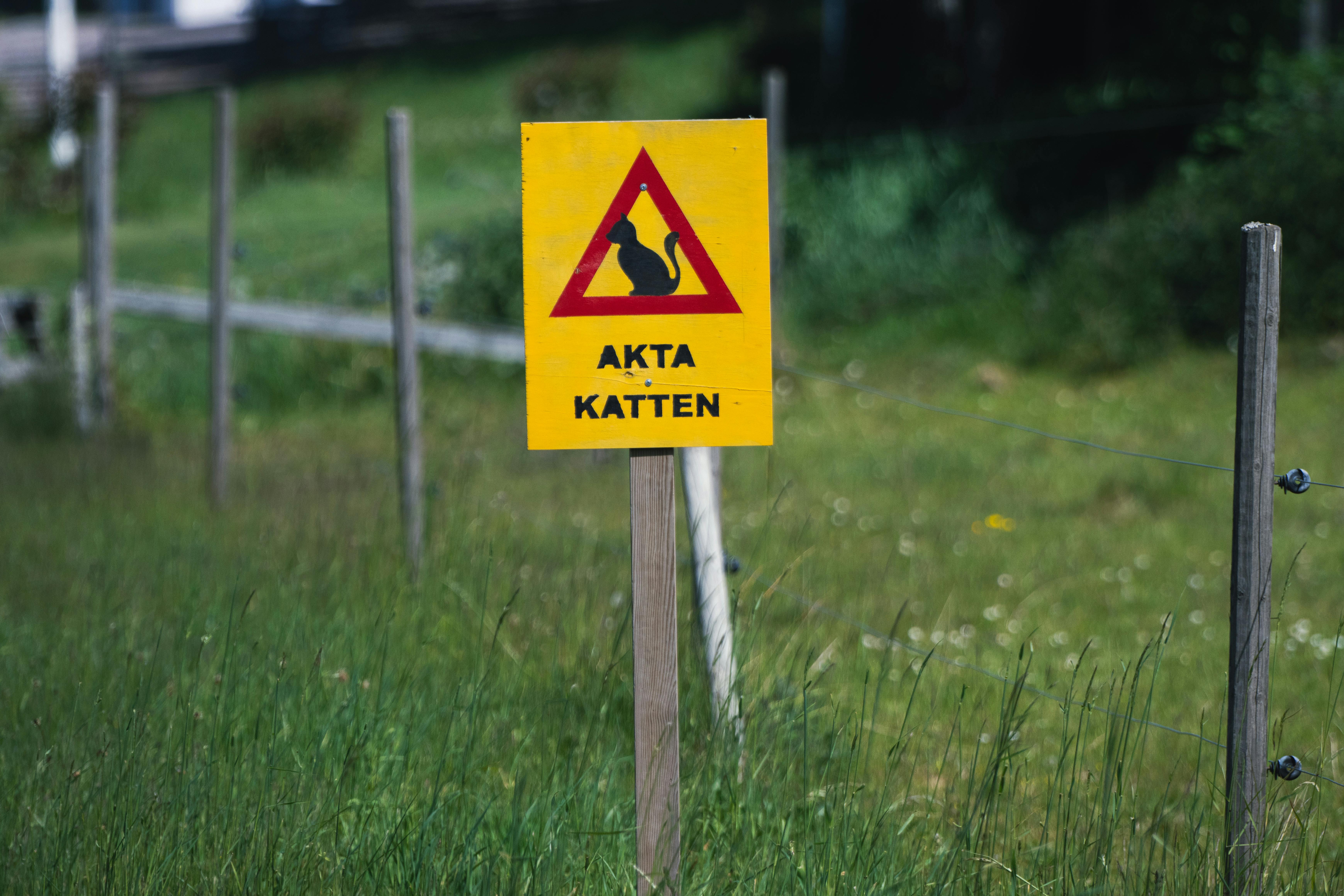 Yellow caution sign warning about cats in a grassy area in Sweden.