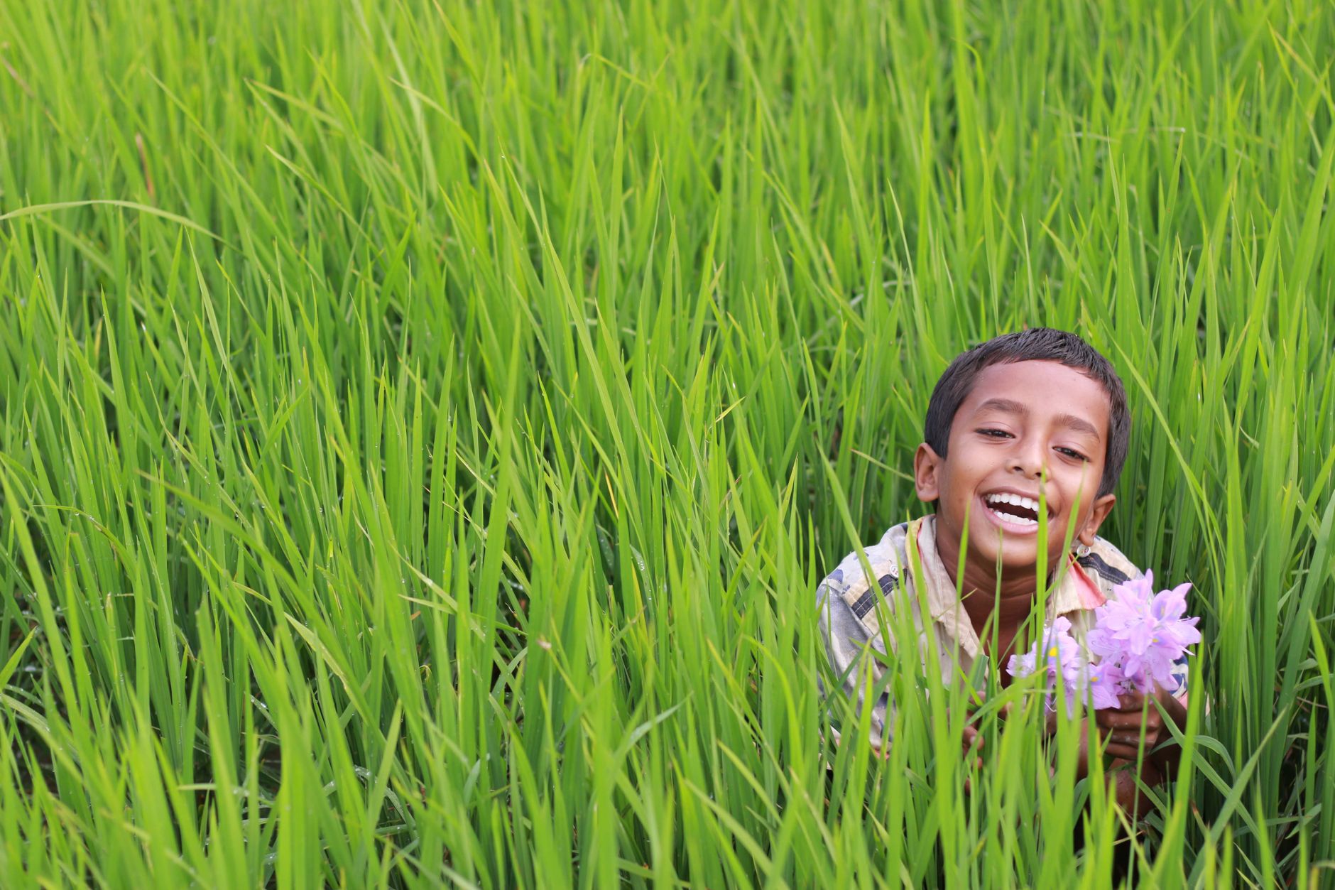 Smiling child in a vibrant green field holding pink flowers, symbolizing happiness and nature.