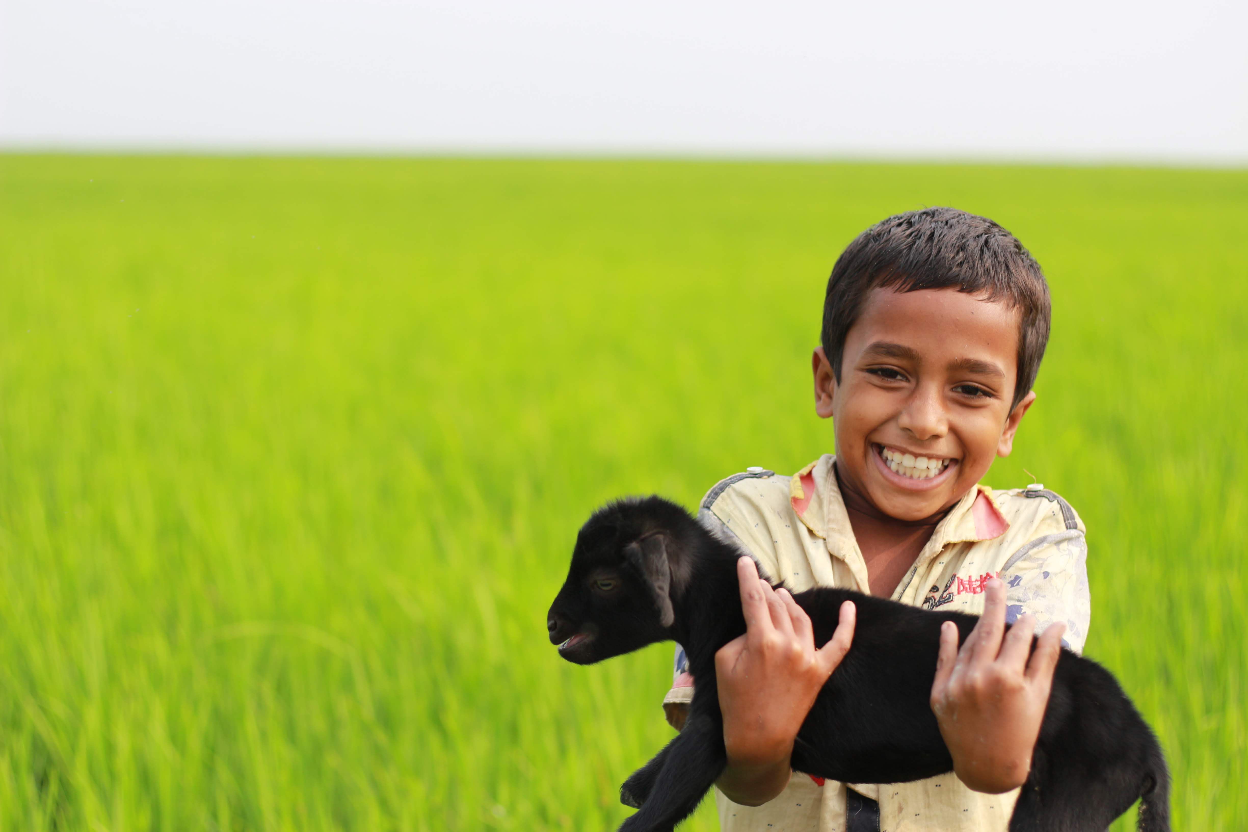 A smiling child embraces a black goat in a vibrant green field, capturing pure happiness.