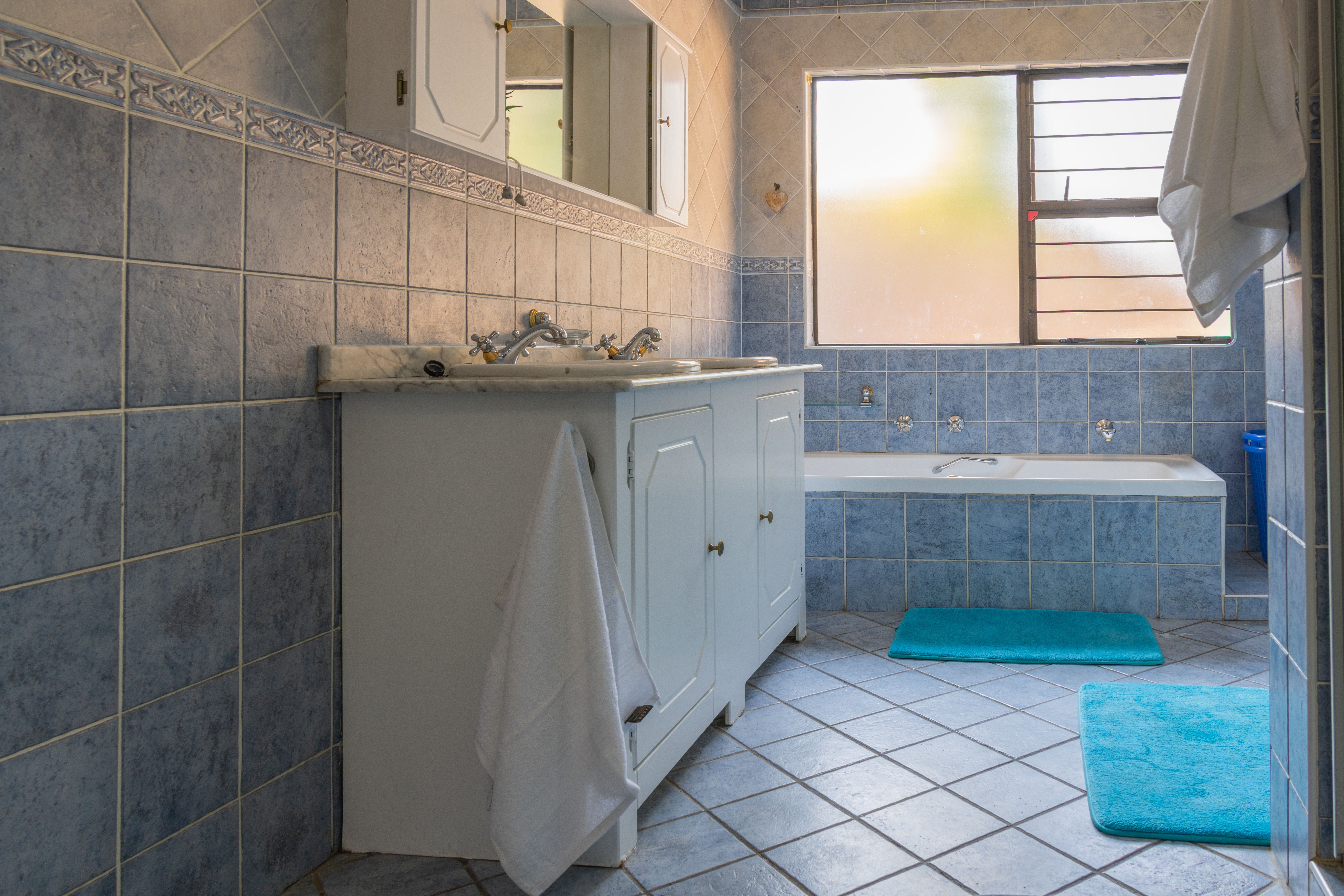 Professional service, Tembisa