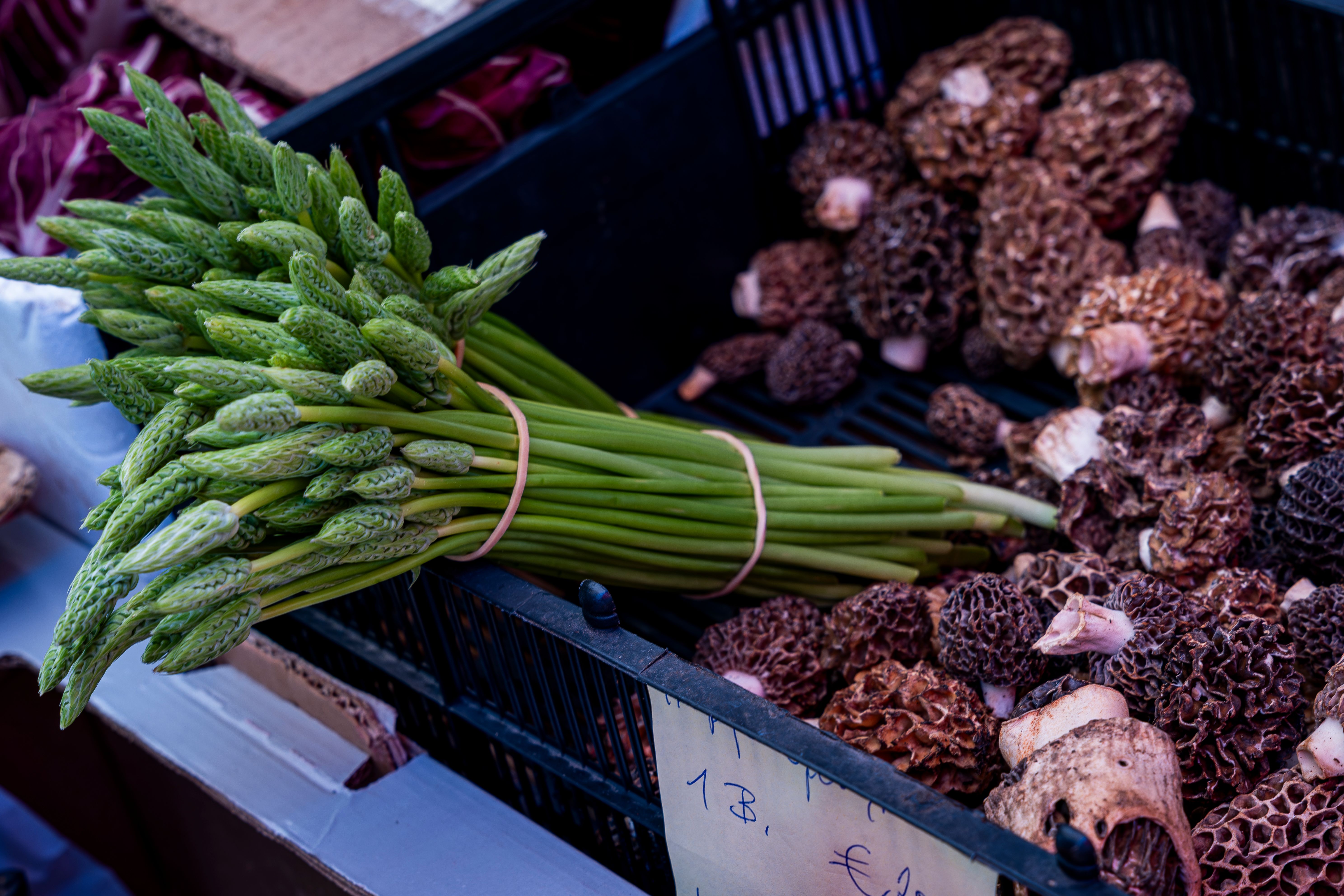 A vibrant display of fresh morel mushrooms and asparagus at a local market.