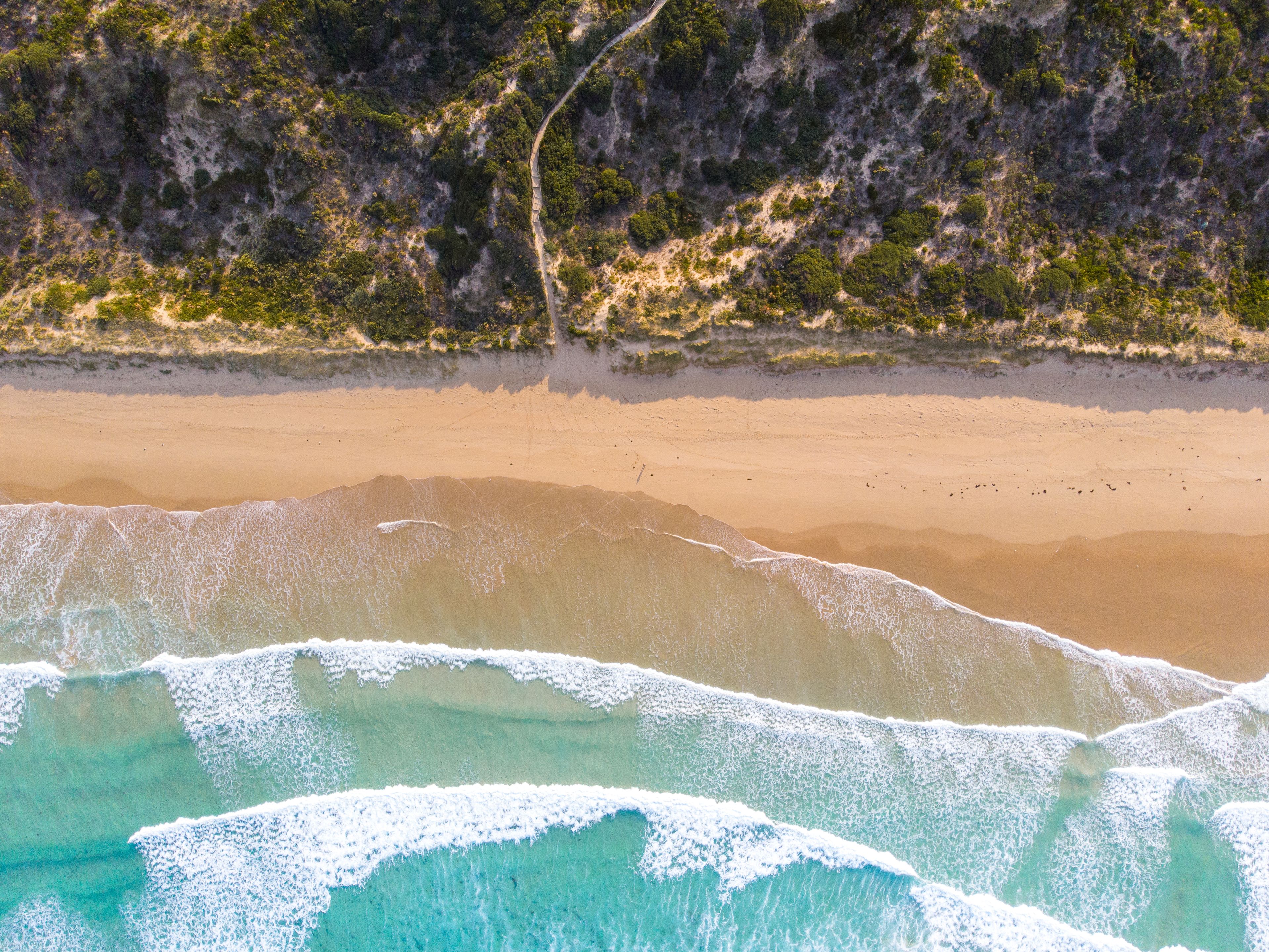 30-Minute Sydney Harbour and Olympic Park Helicopter Tour - Stunning aerial view of Venus Bay beach with gentle waves and scenic shoreline.