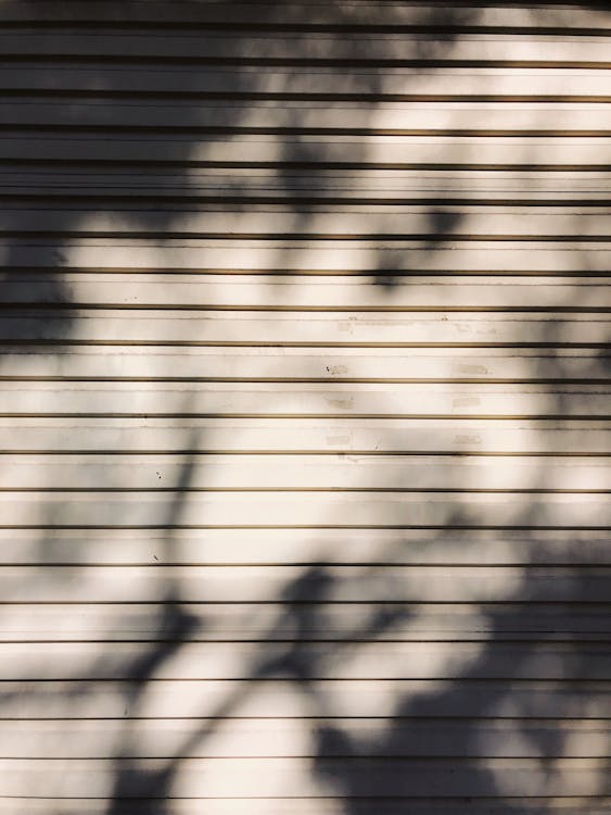 Free Modern jalousie with shadow of tree branches in sunlight Stock Photo