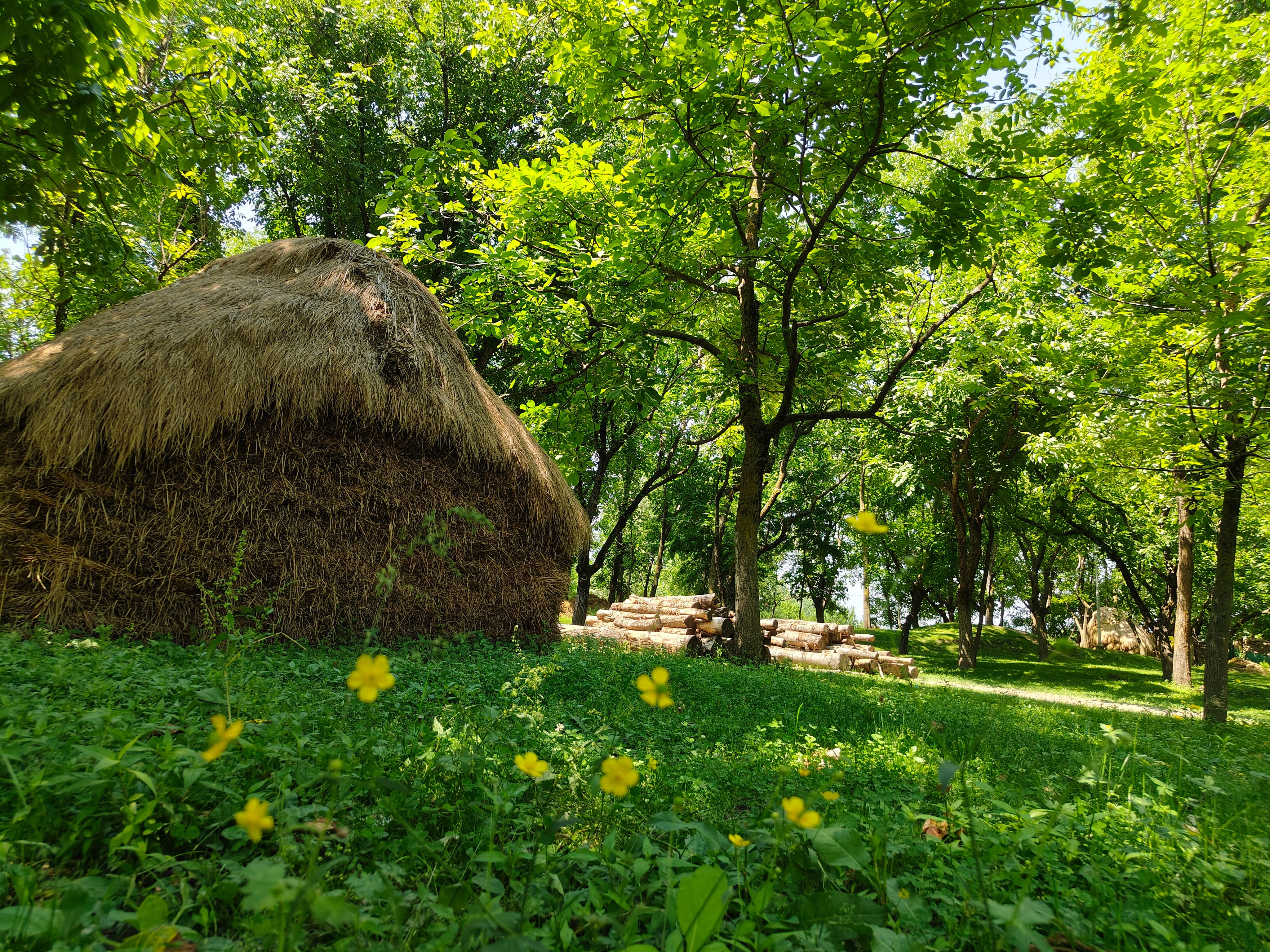 A peaceful scene of a grassy area with haystacks and lush trees on a sunny day.