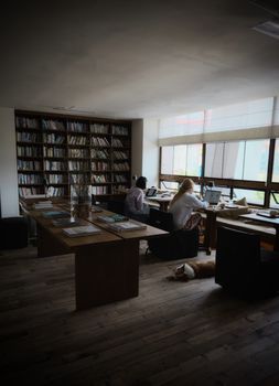 Cozy office library with people working on laptops, natural light streaming in.