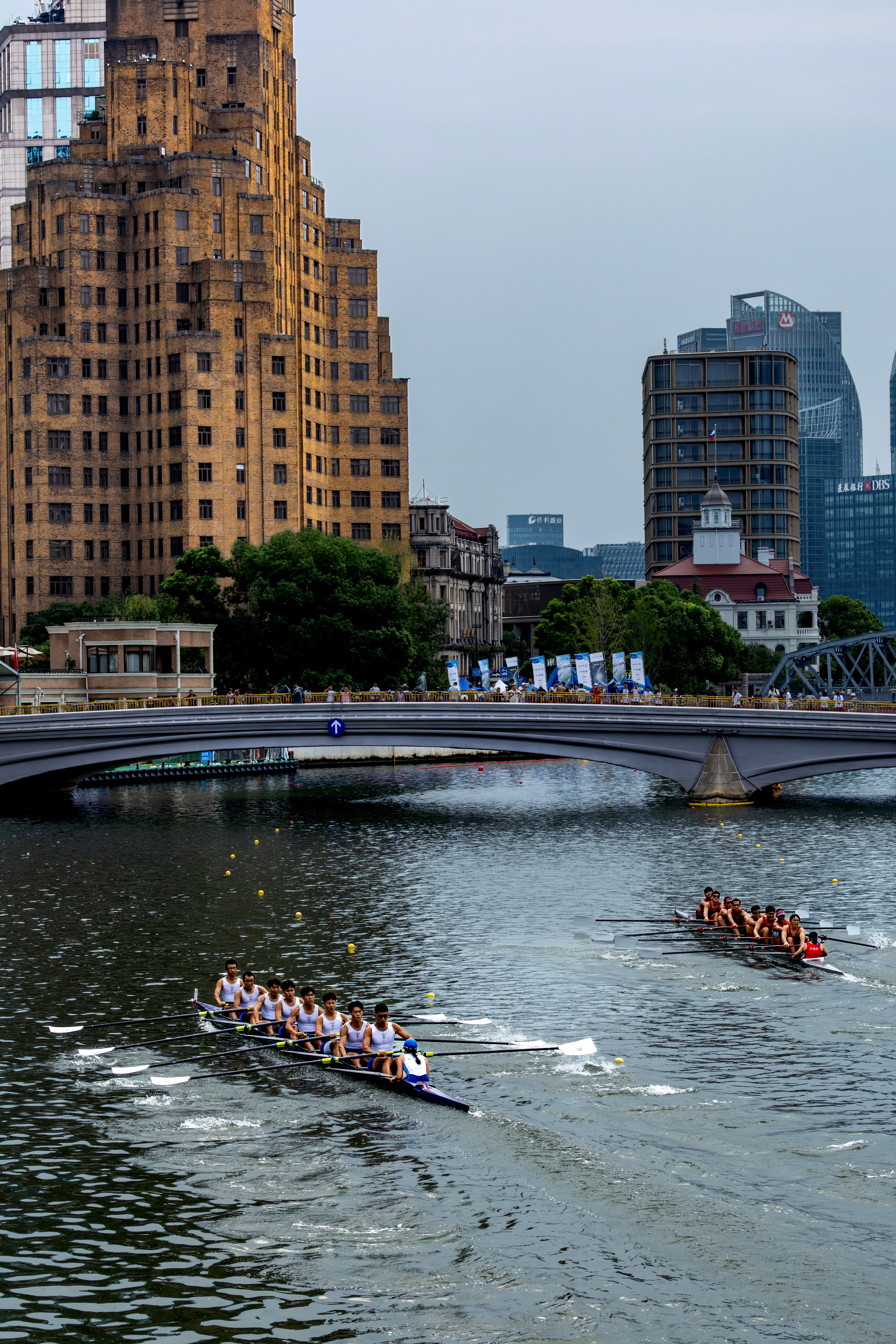 Urban River Rowing Teams Competing in Cityscape · Free Stock Photo