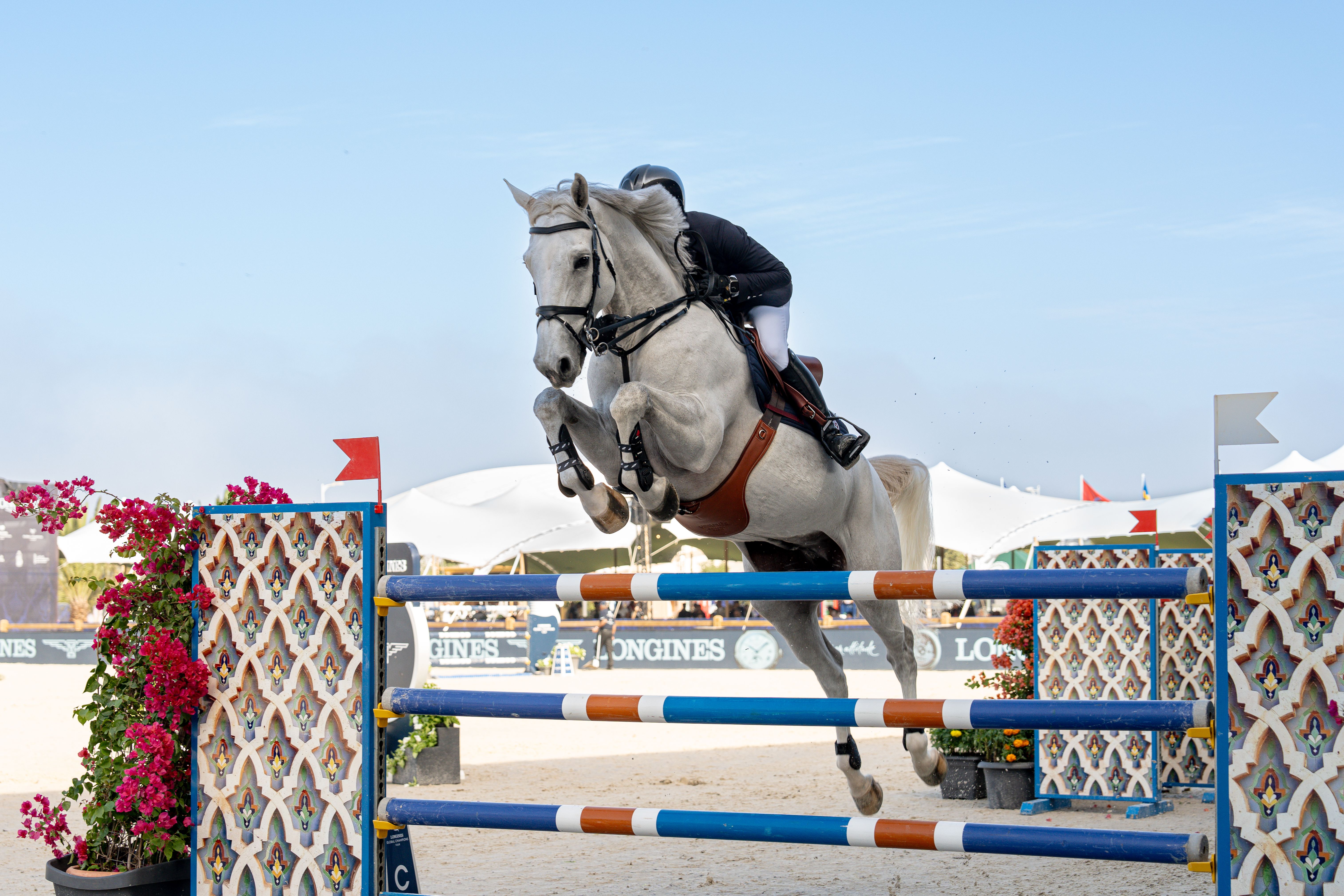 Unsung Heroes: Horse Show Stewards Ensure Fair Competition