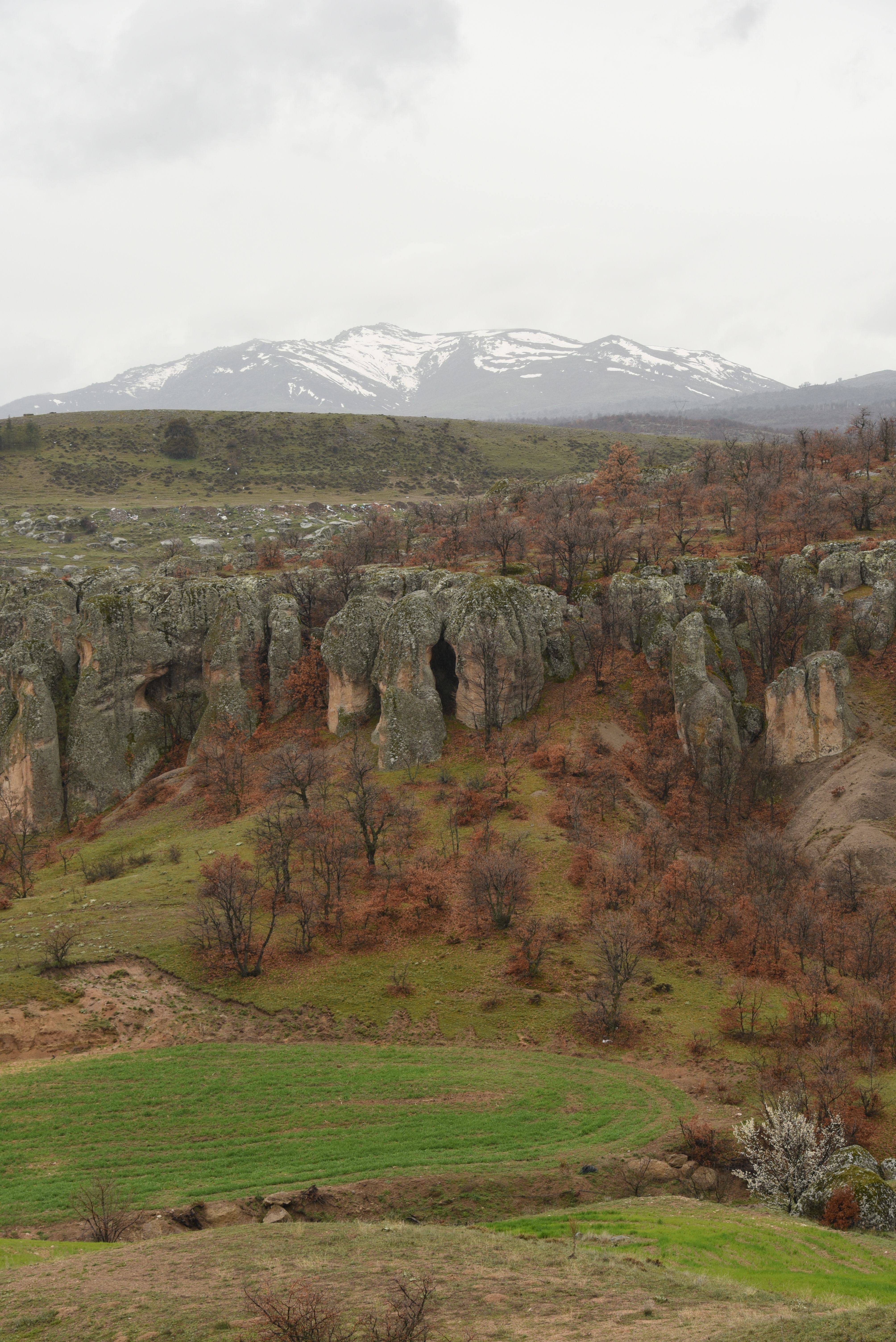 Breathtaking landscape with rocky cliffs and snow-capped mountains in the distance.