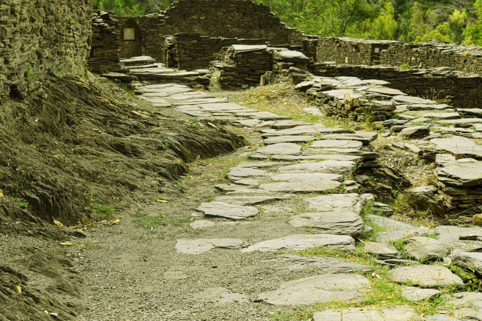 Victoria’s Mental Health Watchdog Faces Significant Reduction in Oversight Powers