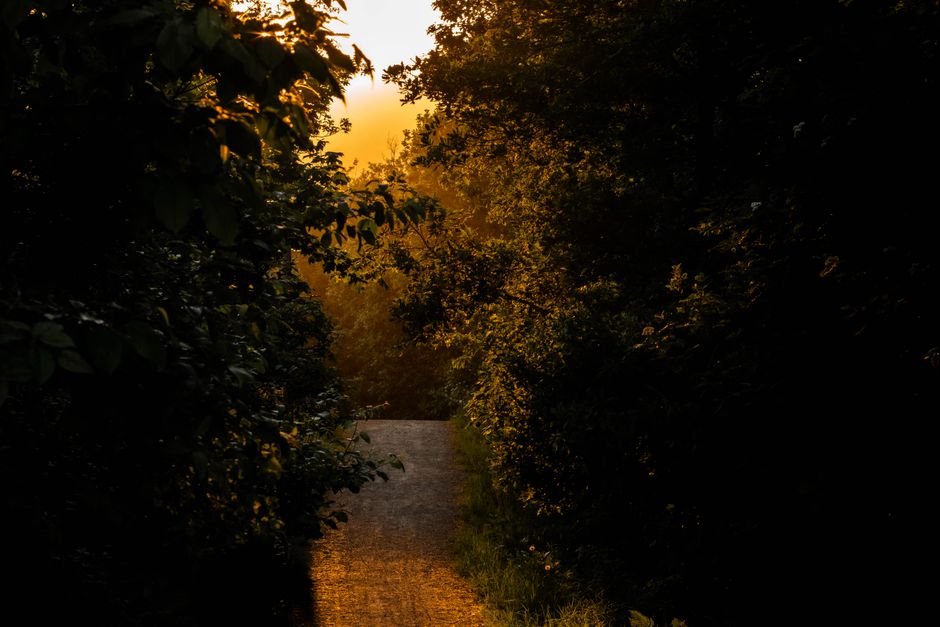 Rocco Rossi's Camino Novel 'Finding Grace' Is a Walk Worth Taking