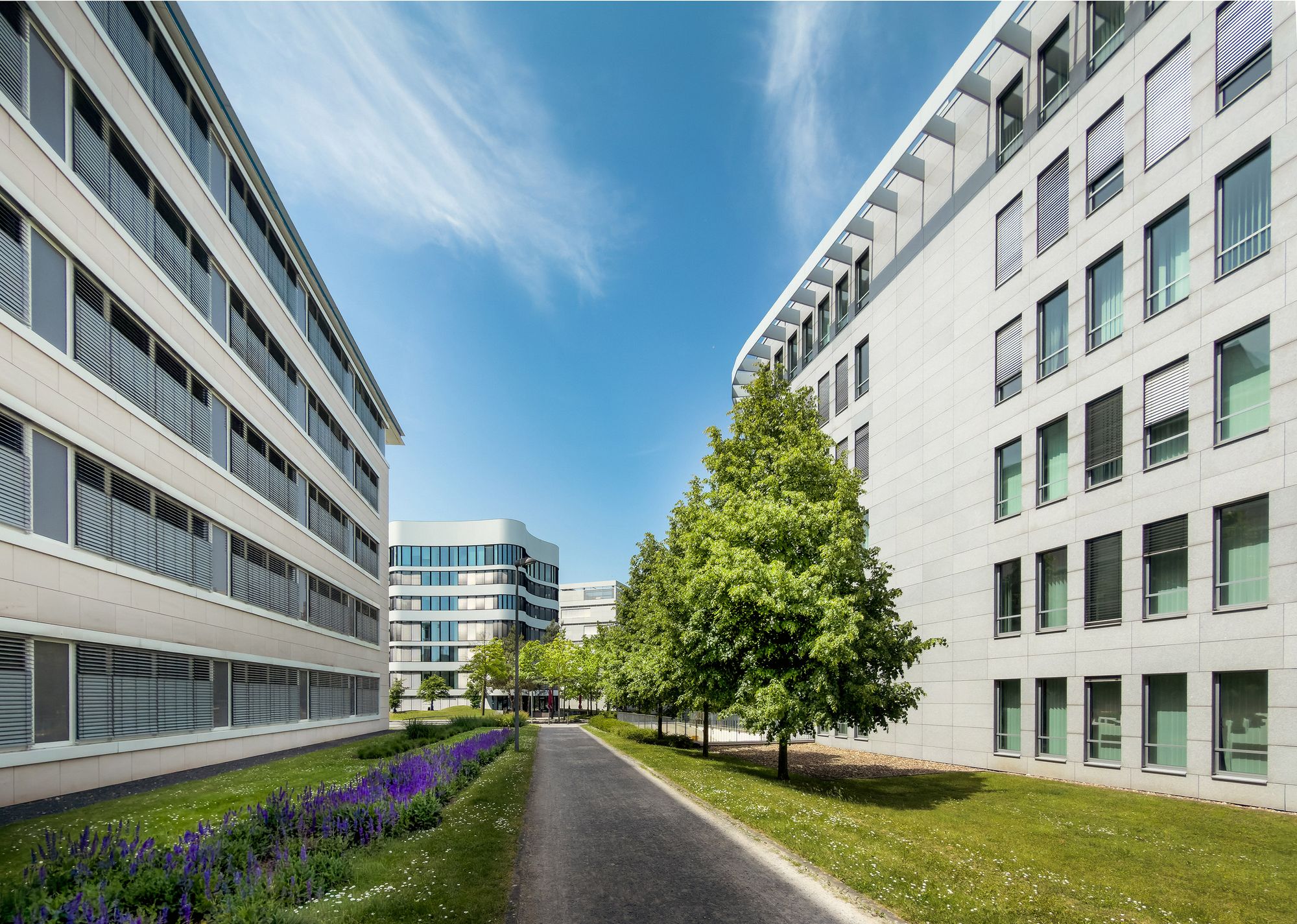 Contemporary office buildings with landscaped trees and blue sky in an urban setting.