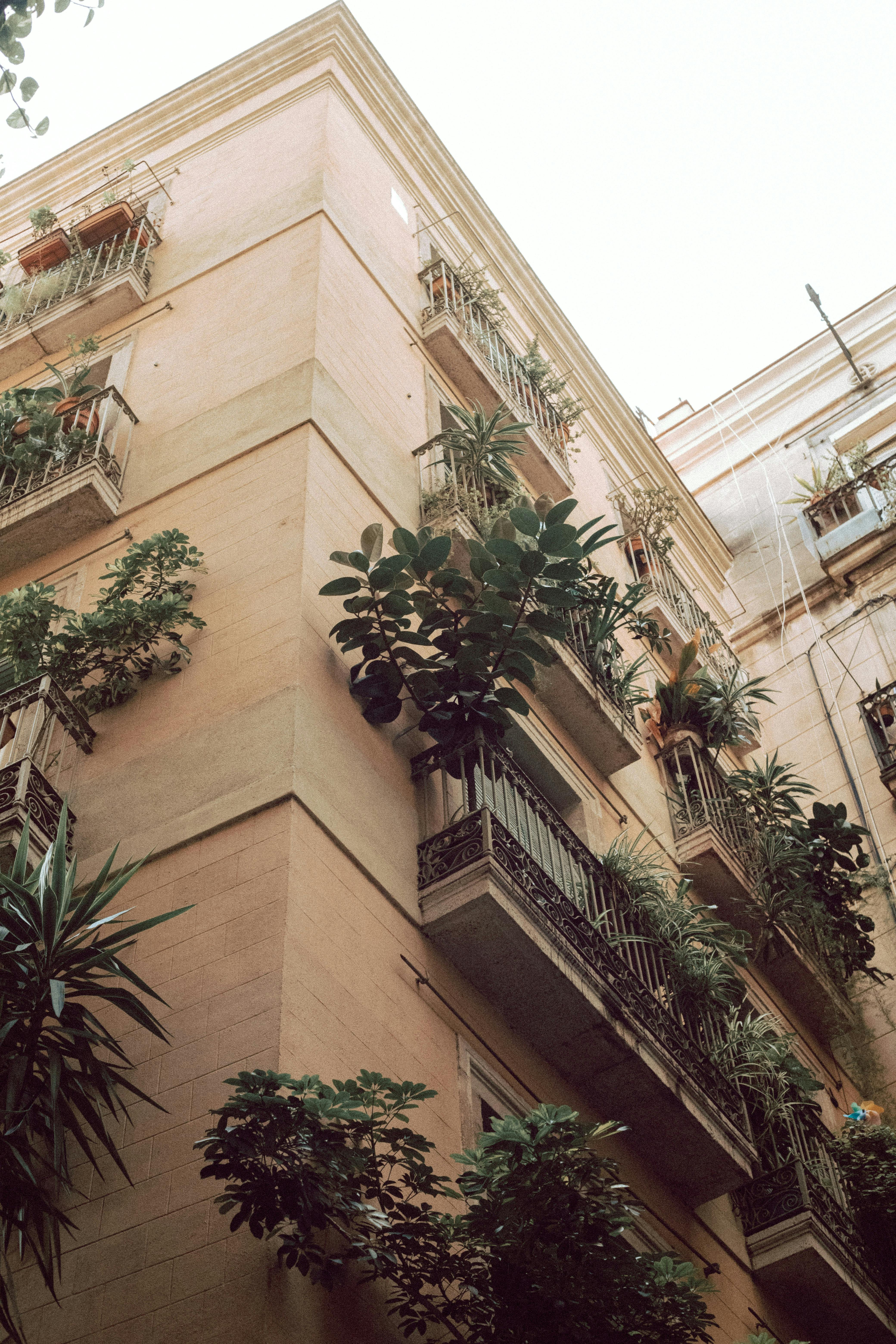 building with balconies full of plants