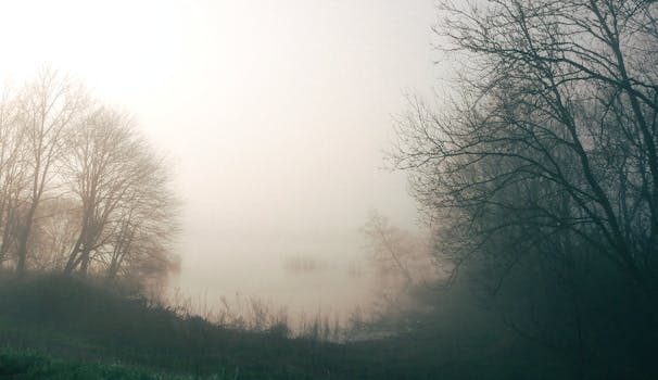 湖畔笼罩着浓雾，树木的剪影在宁静的风景中若隐若现