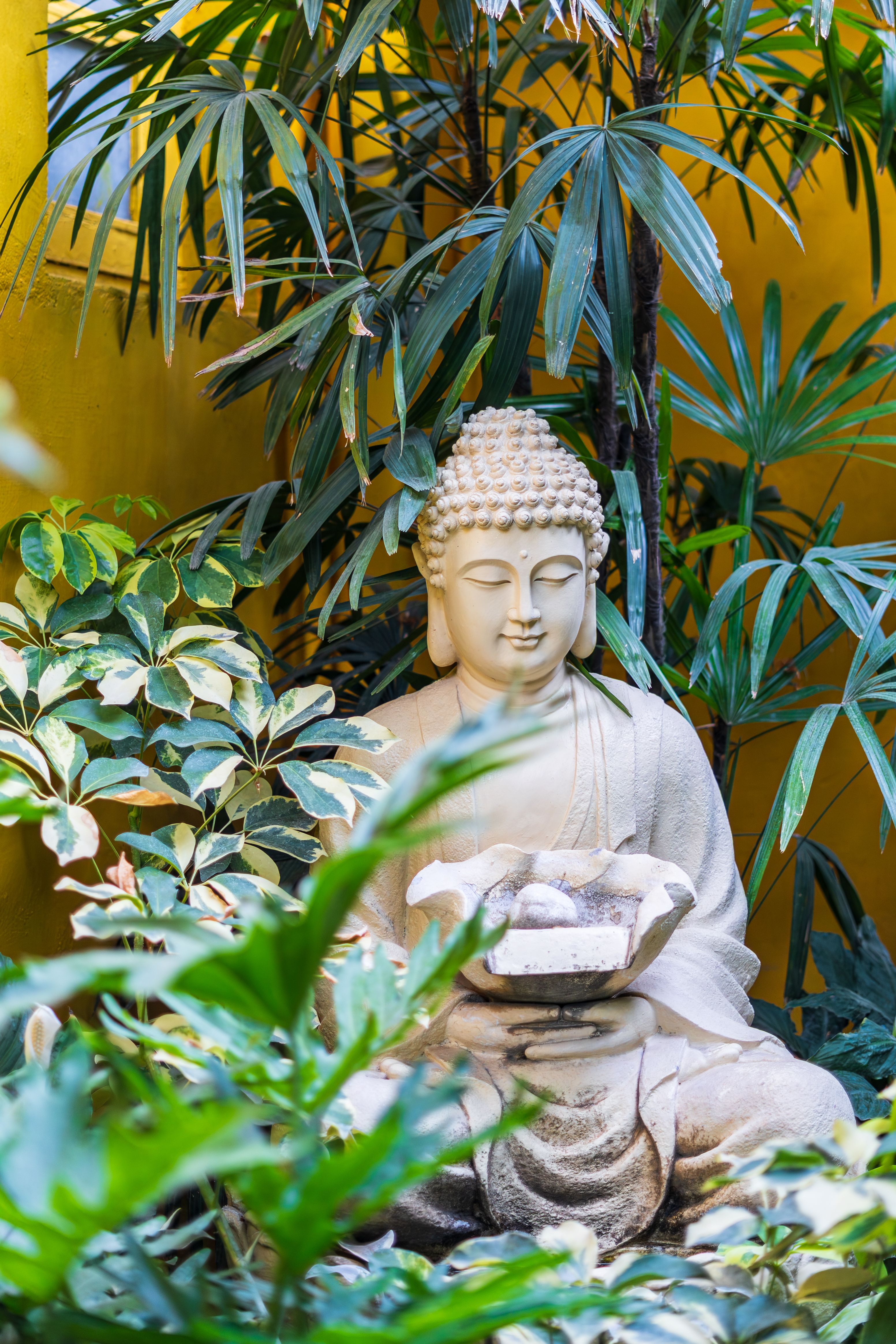 Serene Buddha Statue in Lush Greenery · Free Stock Photo