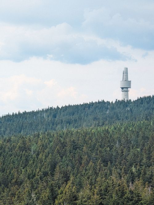Free A television tower emerges over a dense pine forest under a cloudy sky. Stock Photo
