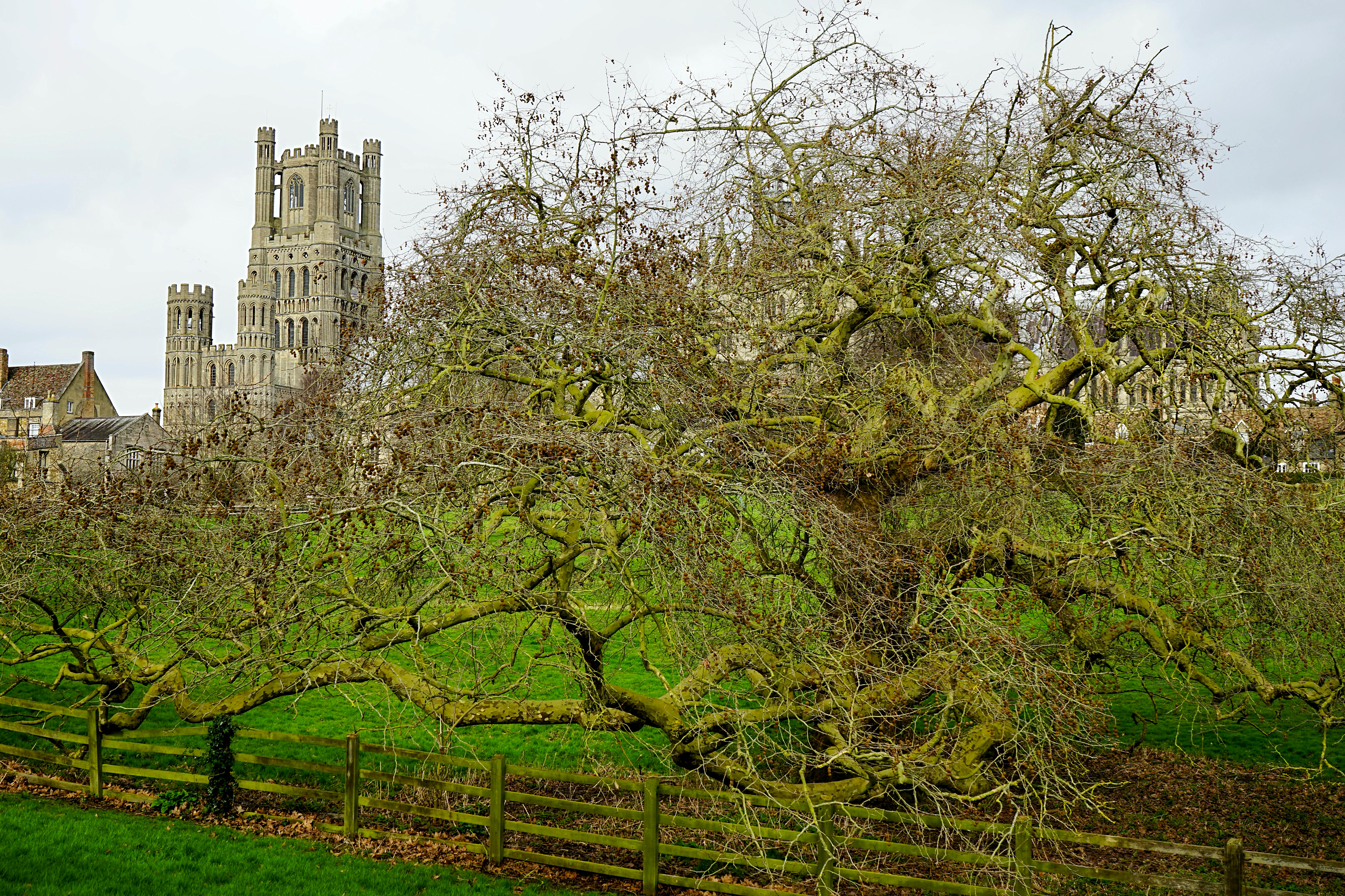 Luxury restroom trailer for events