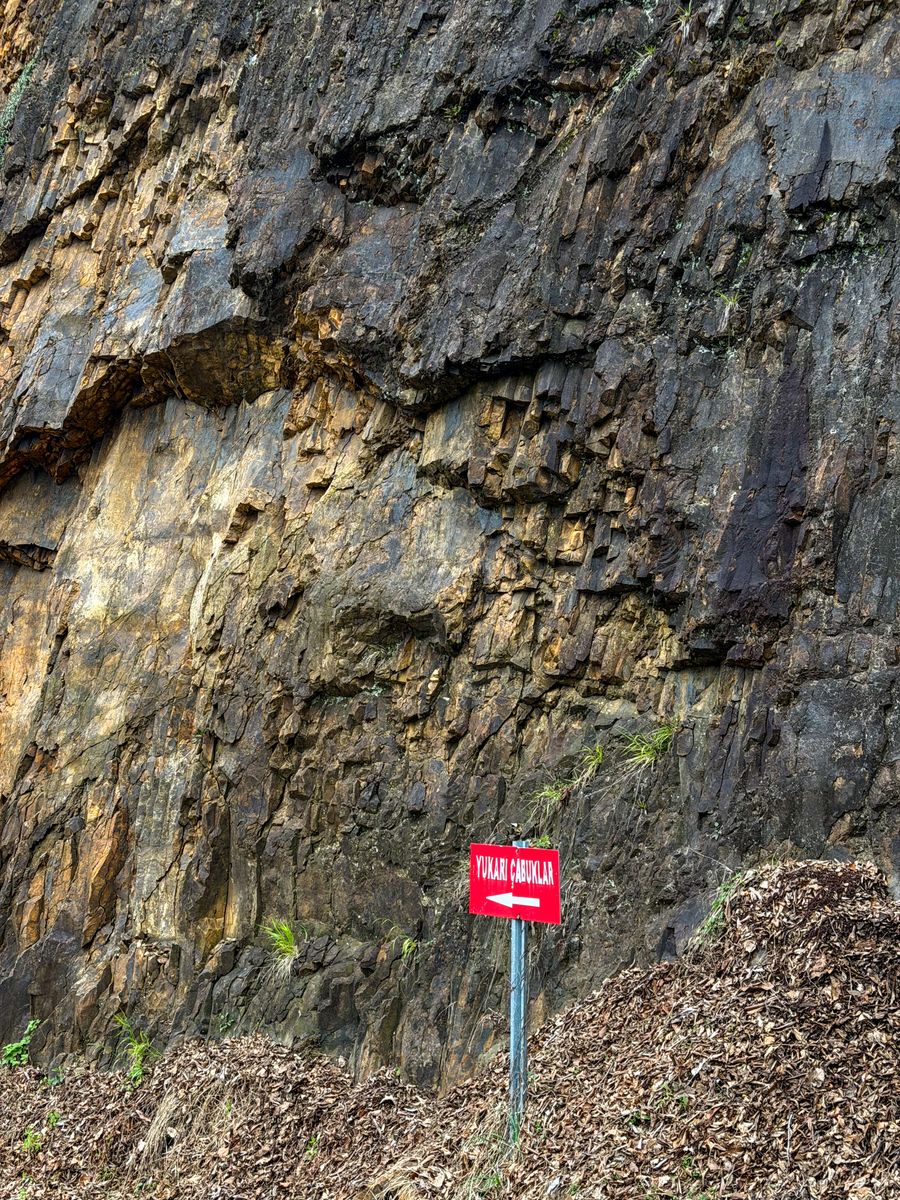 Devalia Interpretation Zone photo 2