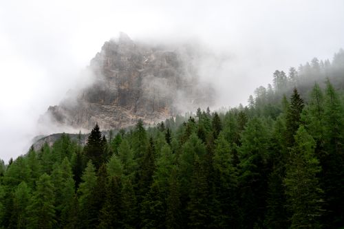 Free A foggy, serene view of the Dolomite mountains surrounded by lush evergreen forest. Stock Photo