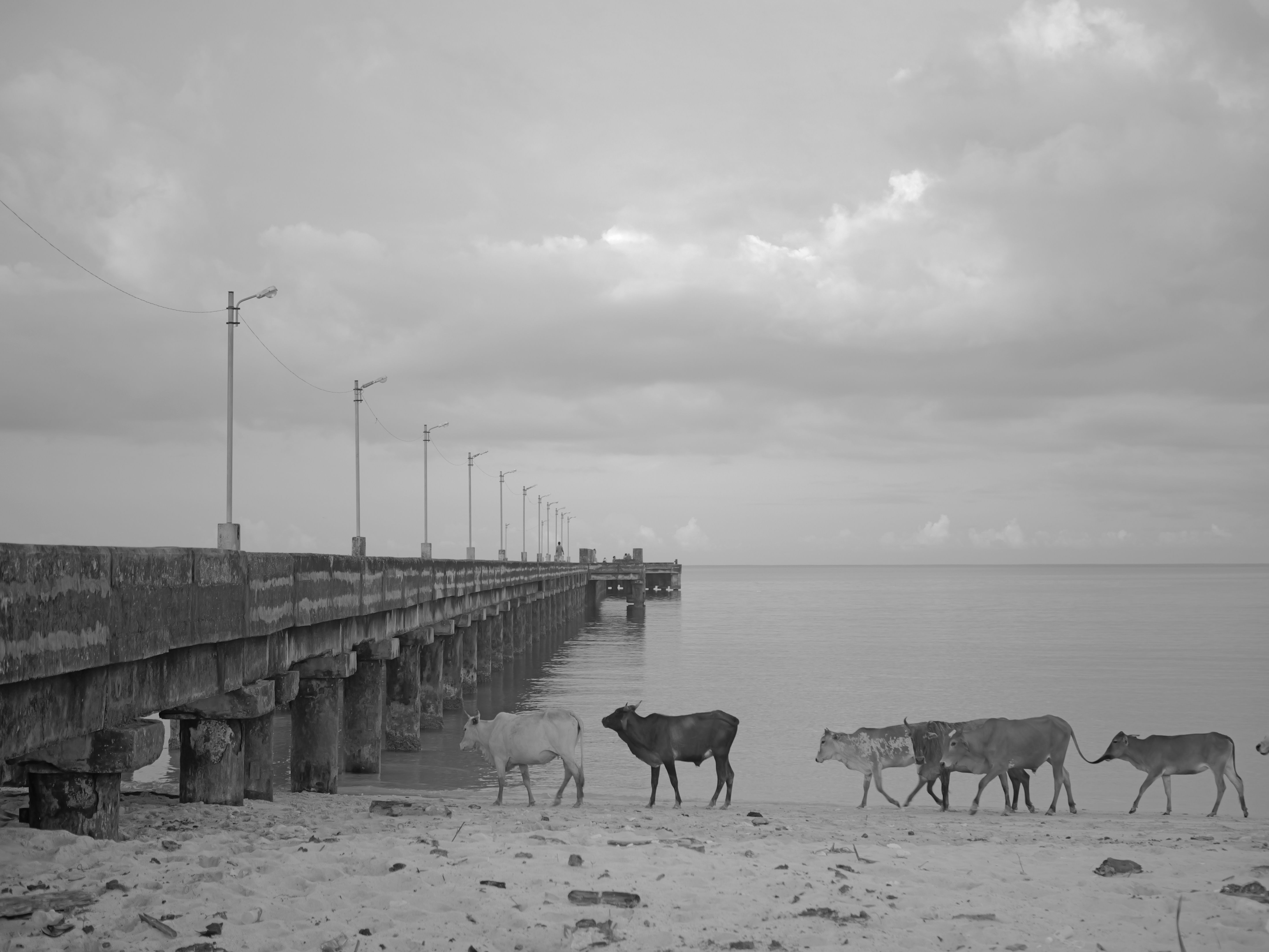Airport transfers in Andaman And Nicobar Islands