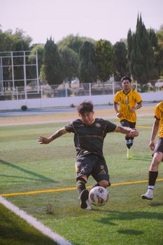 Action shot of soccer players competing on a bright day in an outdoor field.