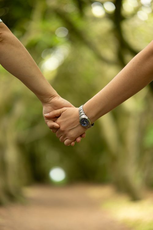 Free A couple holding hands surrounded by lush greenery on a forest pathway. Stock Photo
