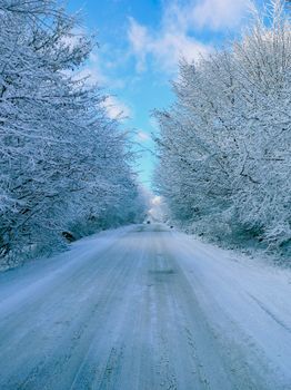 Serene winter road surrounded by snow-laden trees against a bright blue sky.