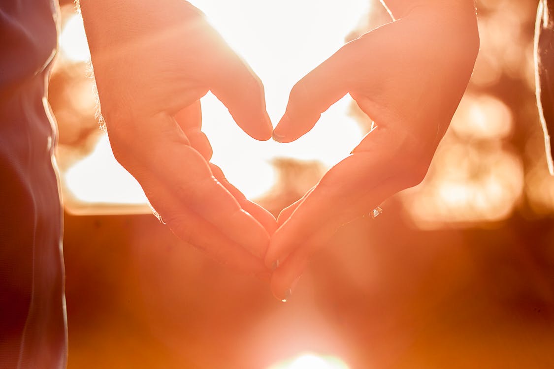 Free stock photo of hands, heart, in love