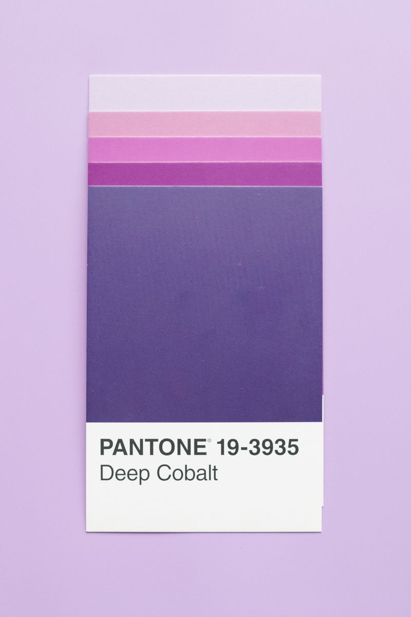 Mauve Color Photos, Download The BEST Free Mauve Color Stock Photos ...