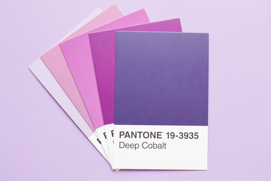 Brand color swatches and design materials