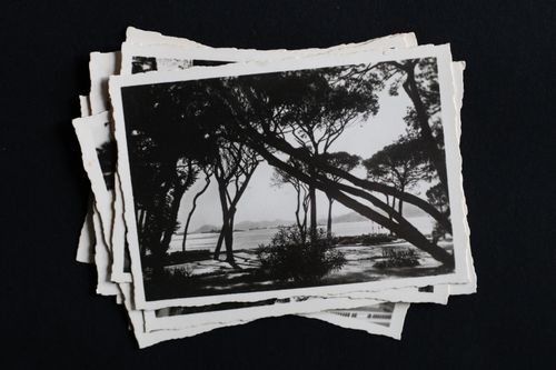 Free Stack of vintage black and white postcards featuring a scenic landscape with silhouetted trees. Stock Photo