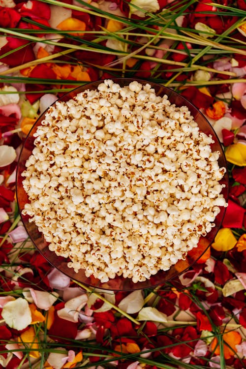 White Popcorn on Red Plate on a Floral Background