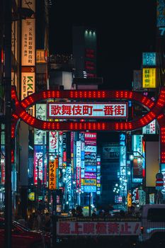 Illuminated neon signs in Kabukicho, Tokyo at night showcasing vibrant city life.