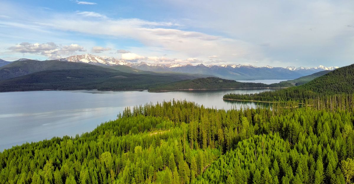Breathtaking aerial view of lush green forest and distant mountain range by a tranquil lake in Montana, USA.