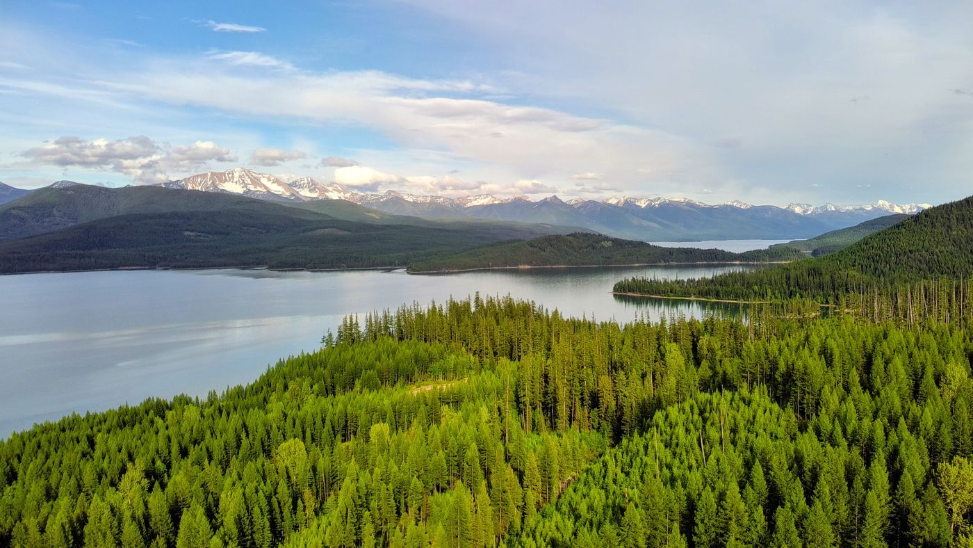 Aerial view of forest, a lake and a distant mountain range in Montana