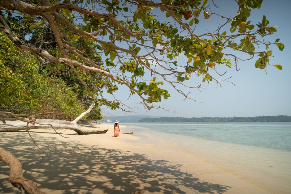 Andaman travel package