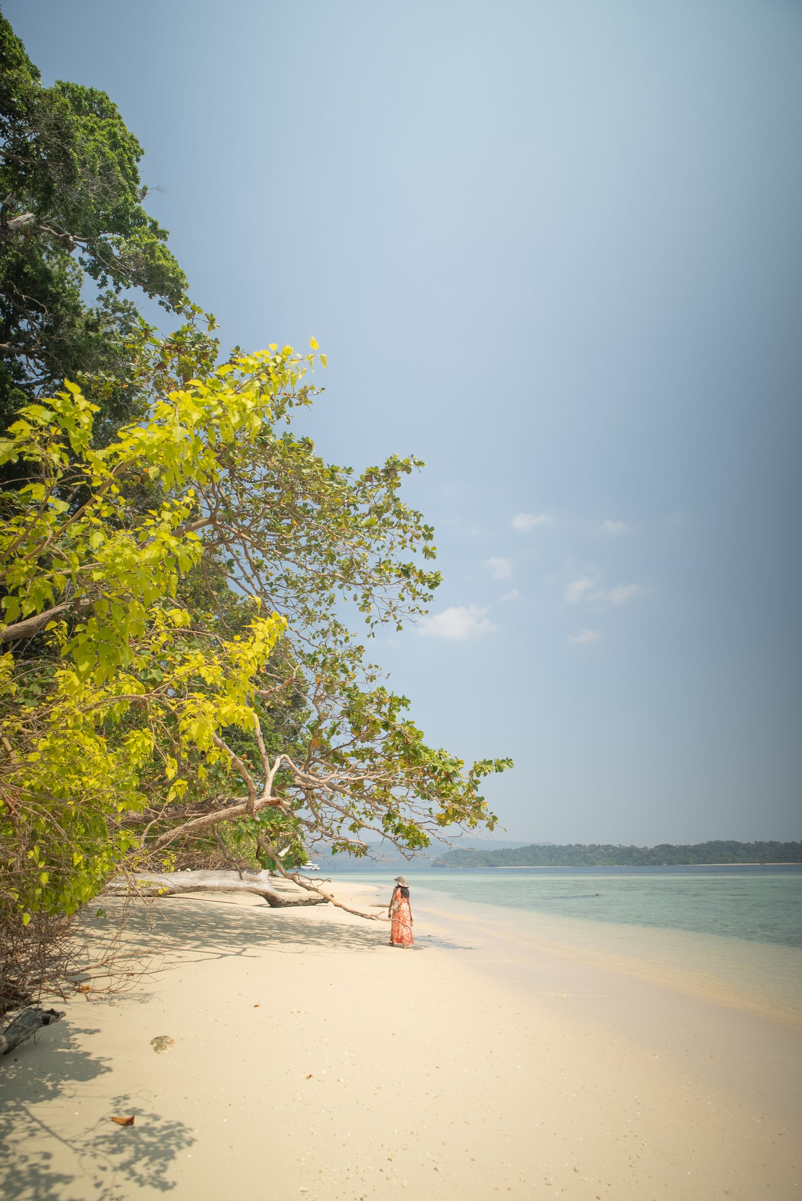 Peaceful beach scene on Andaman Island