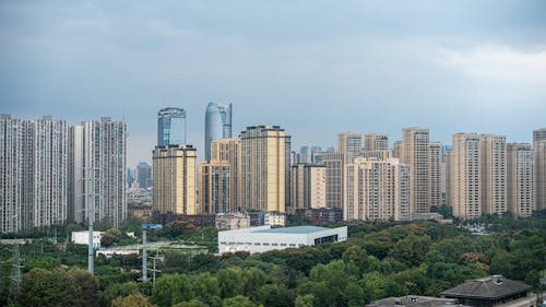 고층 빌딩 사진