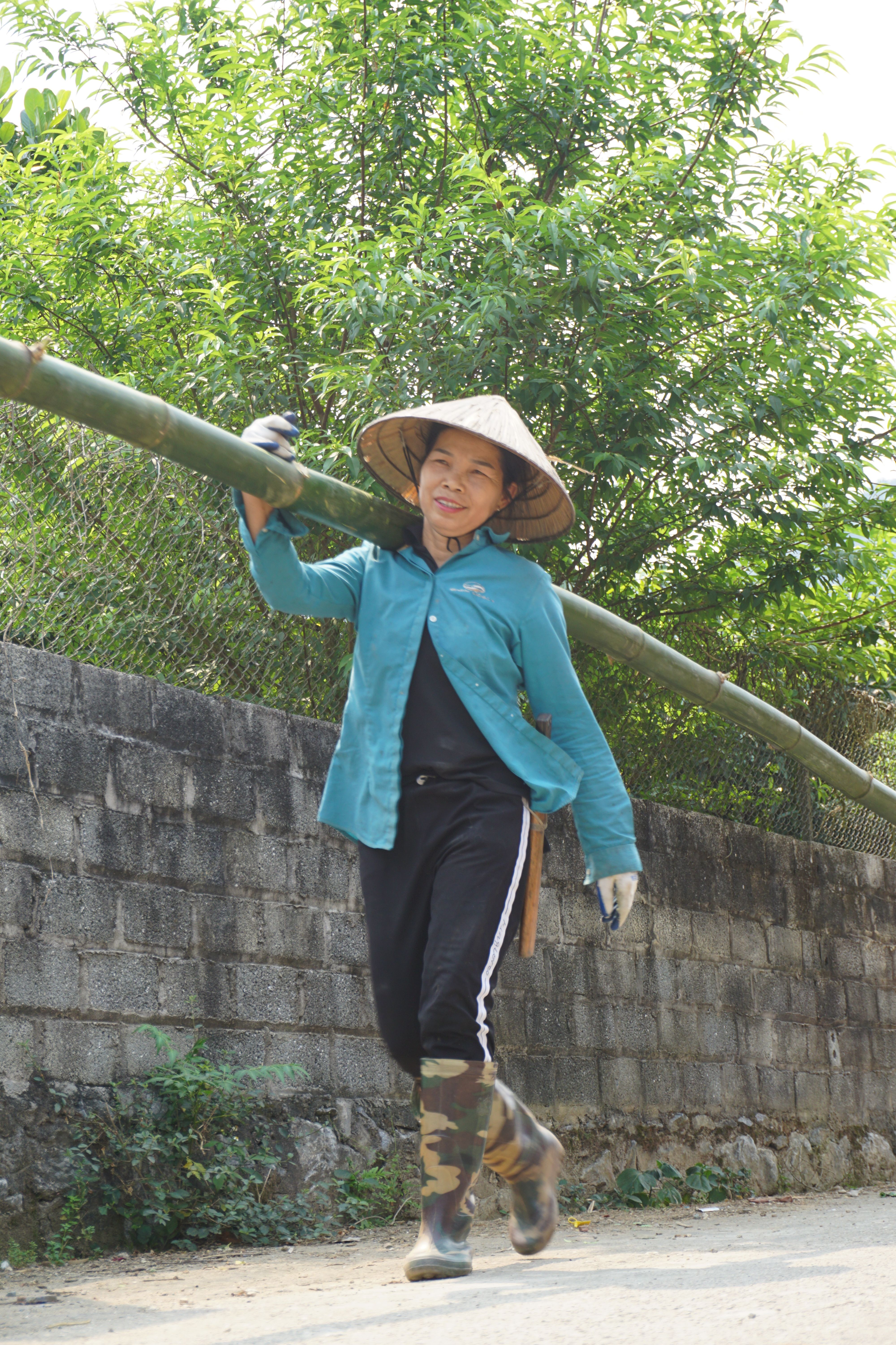 A Vietnamese farmer carries bamboo along a rural path in Hà Giang, Vietnam.