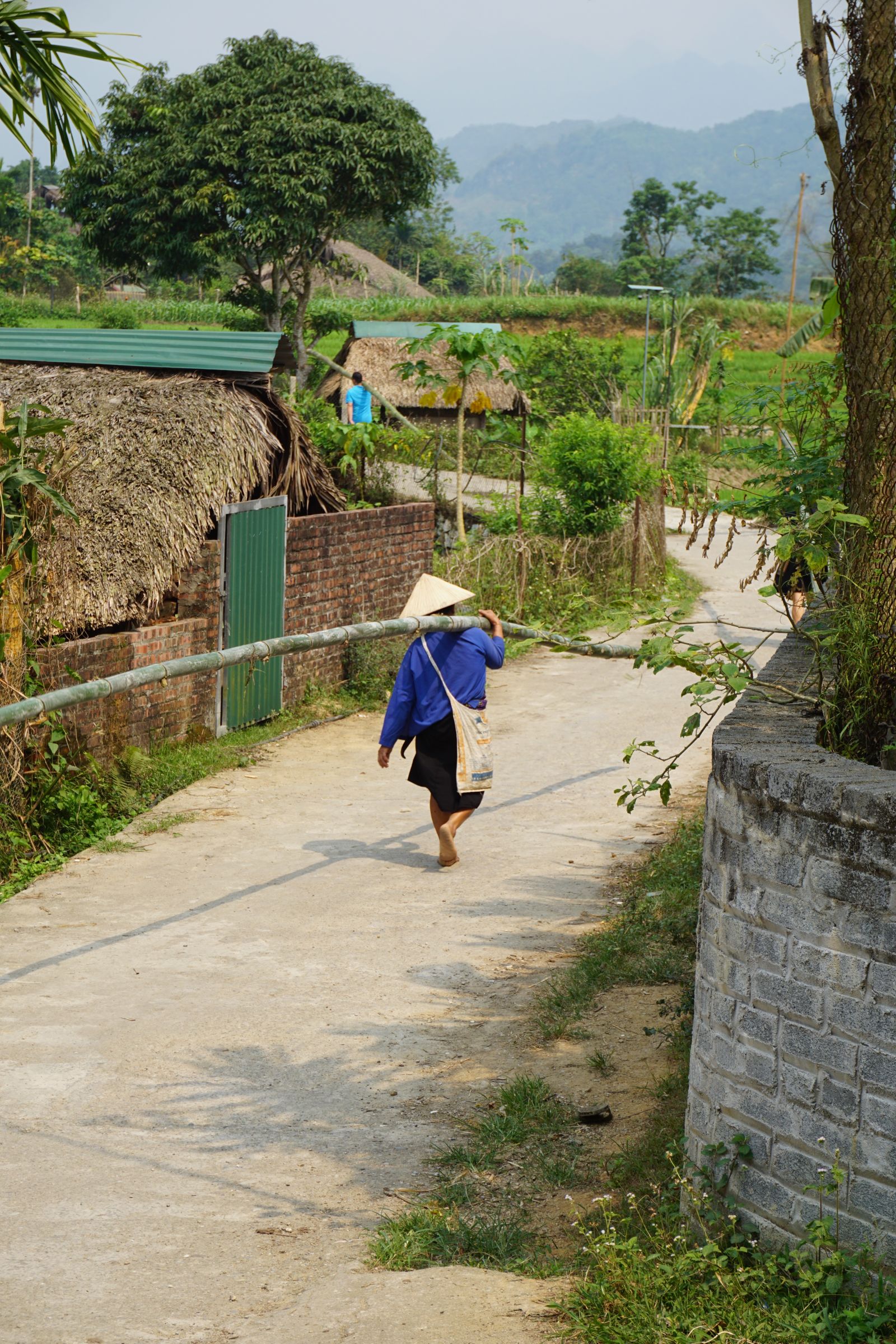 Traditional rural village life in Vietnam showing why an Easy Rider explains culture and local customs