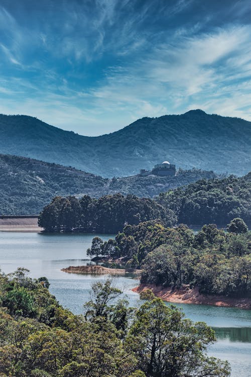 Grüne Bäume In Der Nähe Von See Und Berg