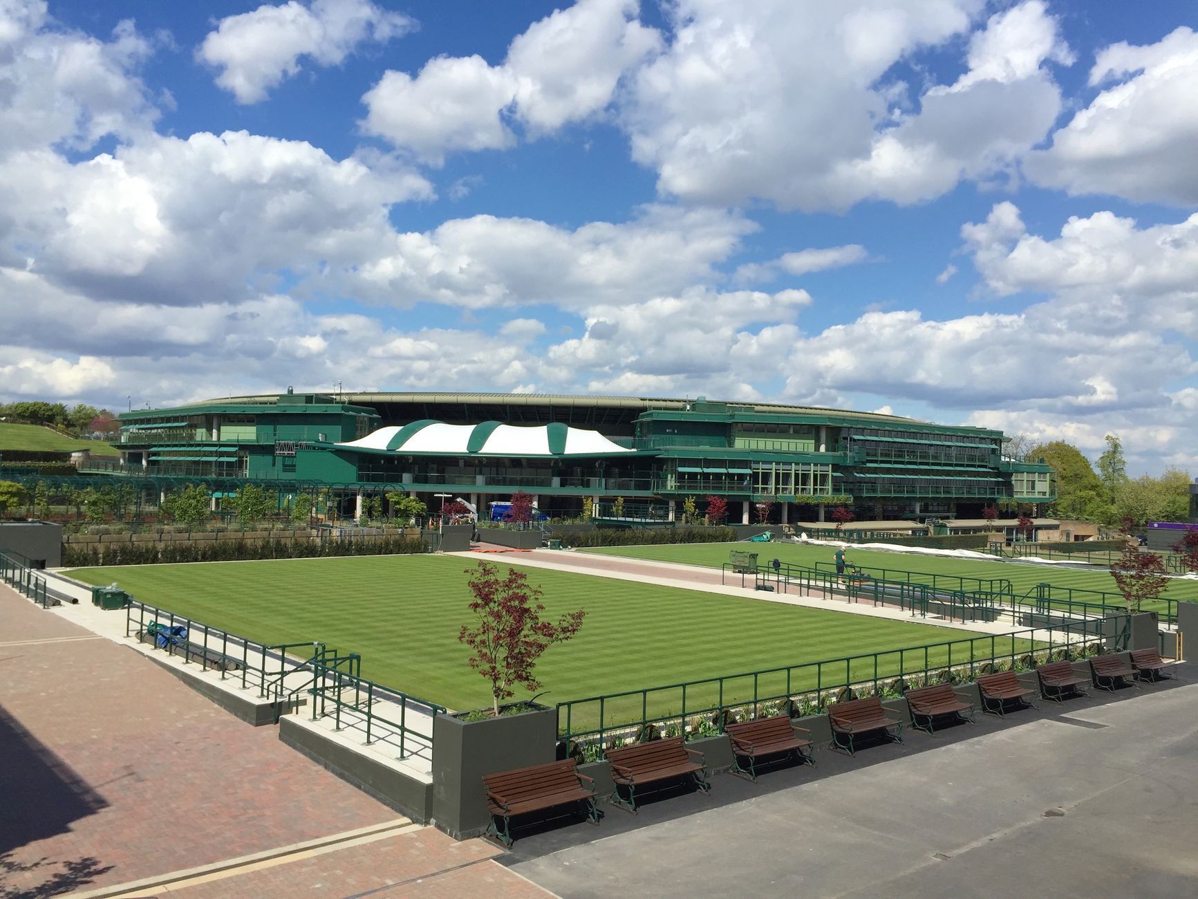 Sinner wint Wimbledon ondanks gescheurde teennagel, Chwalińska uitgeschakeld door blessure
