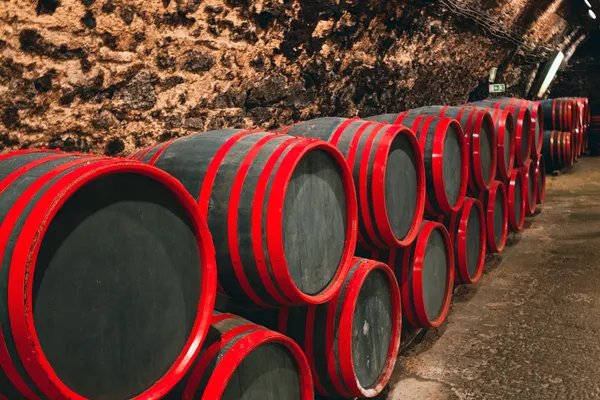les caves de porto à Gaia